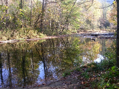 [Trees reflected in the river.]